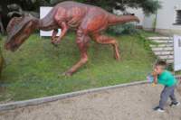 l190713e3202a1_small.jpg