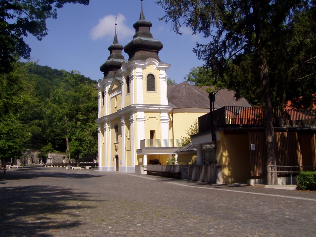 p7220023.jpg