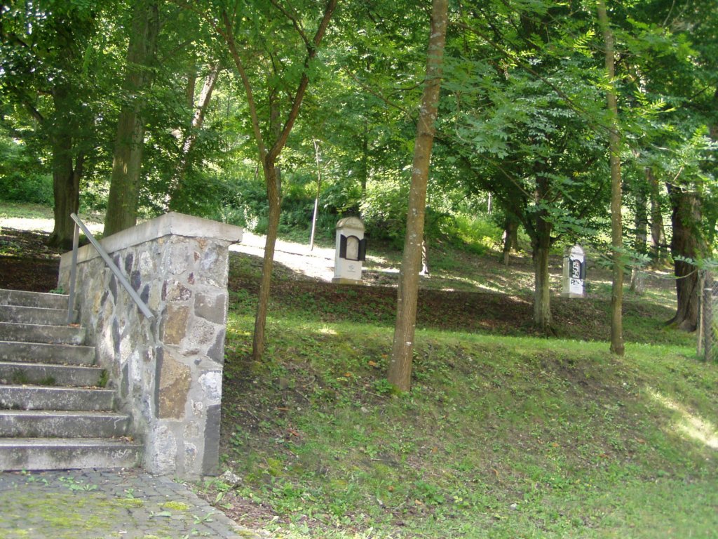 p7220026.jpg