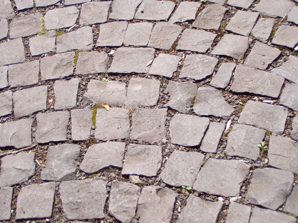 p7220068.jpg