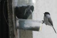 m210802e0965a1_small.jpg