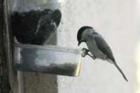 m210802e0967a1_small.jpg