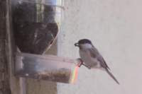 m210802e0991a1_small.jpg