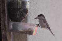 m210802e0994a1_small.jpg