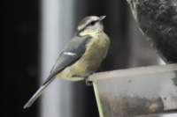 m210802e1027a1_small.jpg