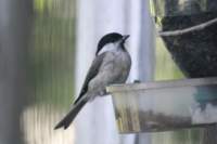 m210803e1037a1_small.jpg