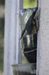 m210803e1048a1_small.jpg