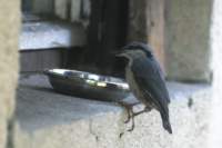 m210803e1072a1_small.jpg