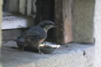 m210803e1075a1_small.jpg