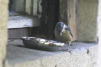 m210803e1091a1_small.jpg