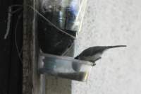 m210803e1108a1_small.jpg