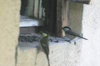 m210803e1121a1_small.jpg