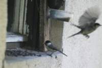 m210803e1123a1_small.jpg