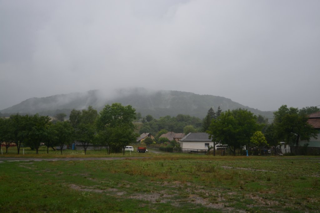 m210805e1125a0.jpg