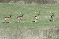 m220412e1202a1_small.jpg