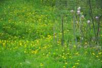 m220507e1363a1_small.jpg