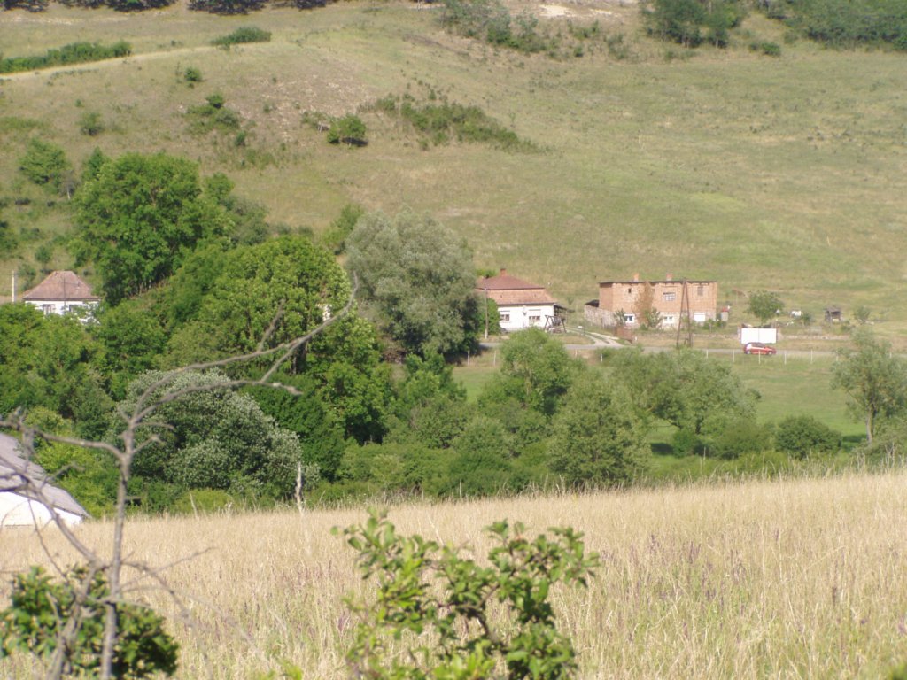 p6190044.jpg