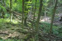 m220613e1431a1_small.jpg