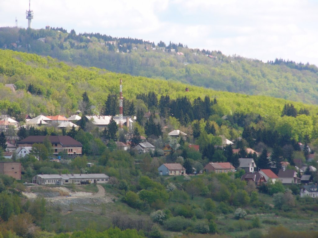 p1010468.jpg