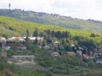 p1010468_small.jpg