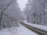 p1020424_small.jpg
