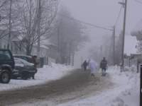 p1020438_small.jpg