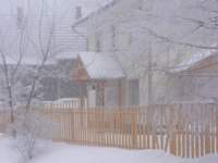 p1020451_small.jpg