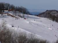 p1020457_small.jpg