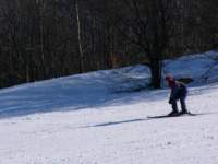 p1020465_small.jpg