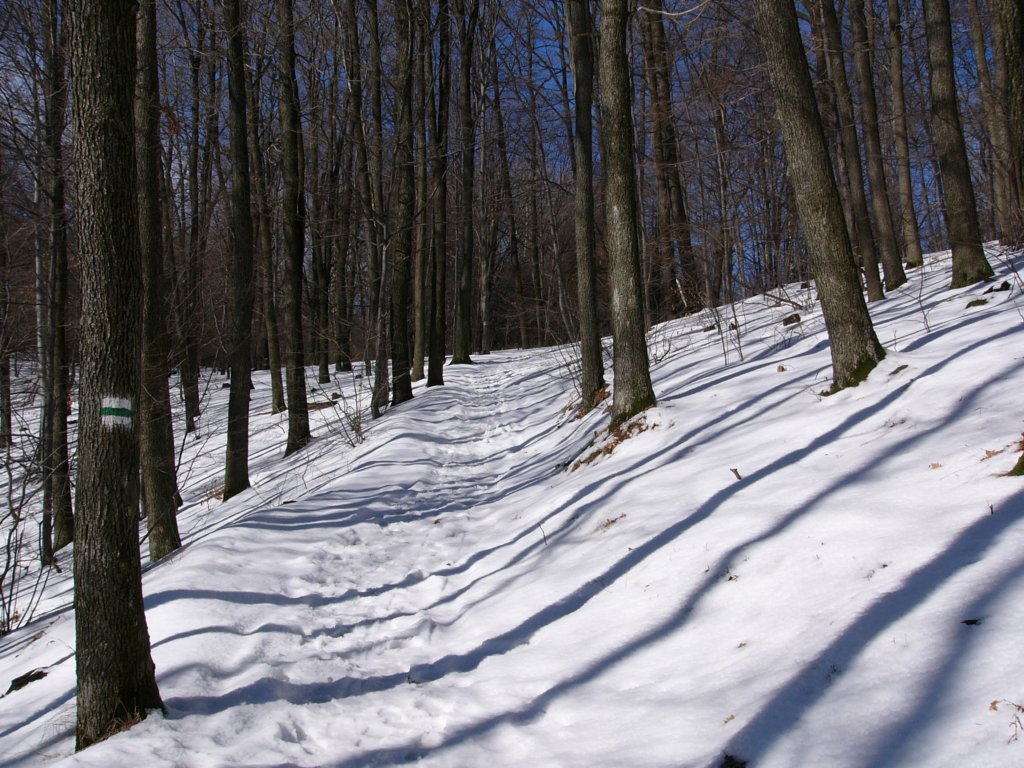 p1020473.jpg