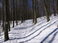 p1020473_small.jpg