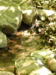 p1030299_small.jpg