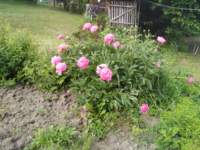 img_20230530_091152_small.jpg