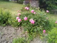 img_20230530_091228_small.jpg