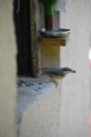 m231007edsc_2262a0_small.jpg