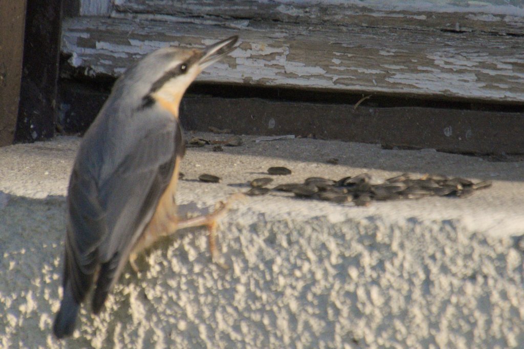 m231007edsc_2362a1.jpg