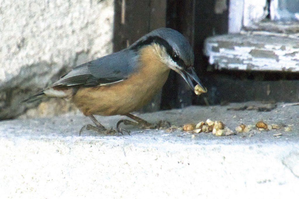 m231008edsc_2374a1.jpg