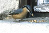 m231008edsc_2374a1_small.jpg
