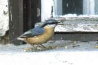 m231008edsc_2379a1_small.jpg