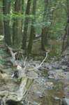 m230826edsc_2212a1_small.jpg