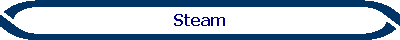 Steam