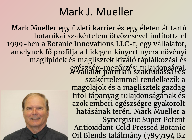 Mark J Mueller