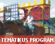 Oktat&oacute;, tematikus program