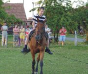 Fot&oacute;t&aacute;r