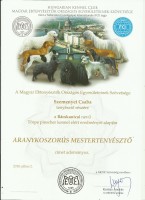 aranykoszors mestertenyszt