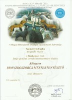 Ktszeres bronzkoszors mestertenyszt
