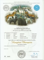 Arco Iris from Hungary Domingo Hungria Champion