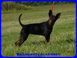 Bcskautcai Bella