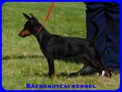 Bcskautcai Bella