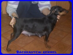 Bcskautcai Cally